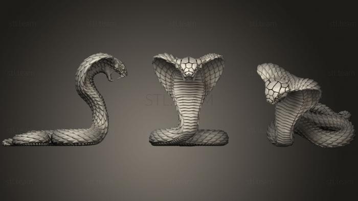 3D модель Змея кобра (STL)